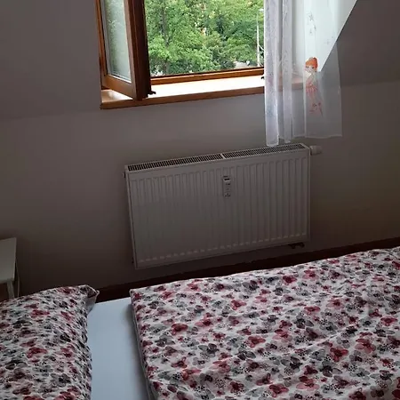 Riegrova Apartment *